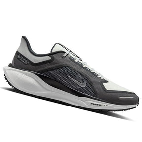 Scarpe uomo Pegasus 41 GTX