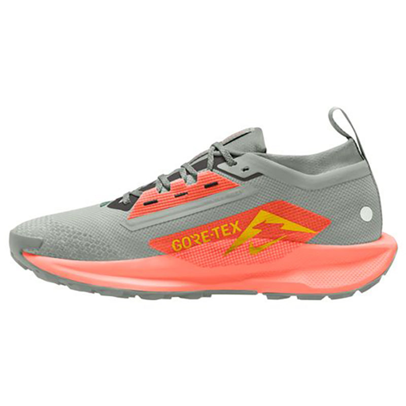 Scarpe uomo Pegasus Trail 5 GTX