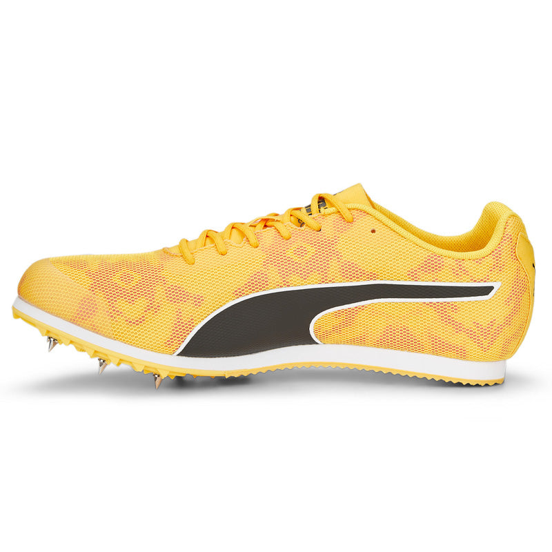 Scarpe uomo evoSPEED Star 8