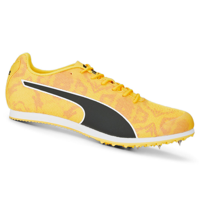 Scarpe uomo evoSPEED Star 8