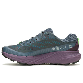 Scarpe uomo Agility Peak 5 GTX