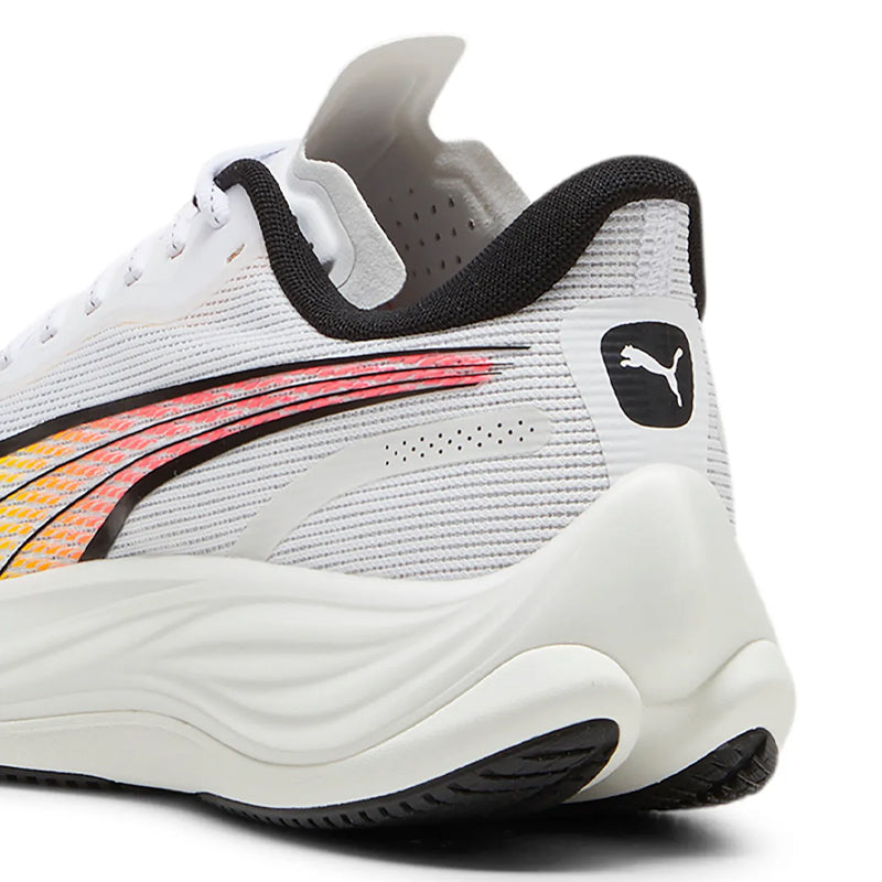 Scarpe uomo Velocity Nitro 3