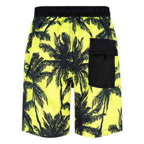 Boxer bambino Palme