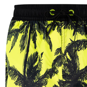 Boxer bambino Palme