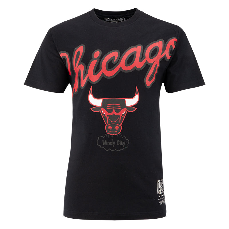 T-Shirt uomo Chicago Bulls Logo