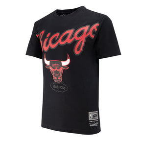T-Shirt uomo Chicago Bulls Logo