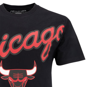 T-Shirt uomo Chicago Bulls Logo