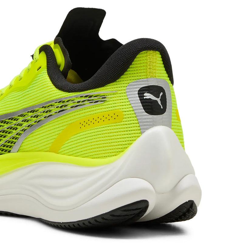 Scarpe uomo Velocity Nitro 3