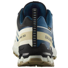 Scarpe uomo XA Pro 3D V9 GTX