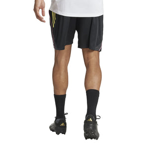 Pantaloncino uomo Training 25/26 Juventus