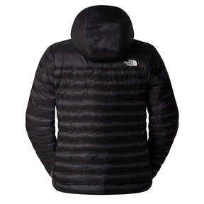 Piumino uomo Terra Peak