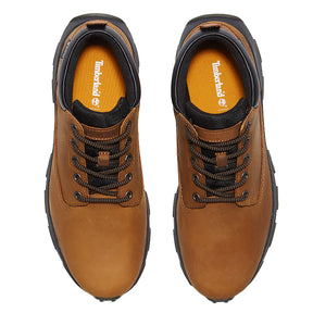 Scarpe uomo Winsor Park Mid GTX