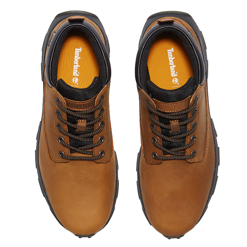 Scarpe uomo Winsor Park Mid GTX