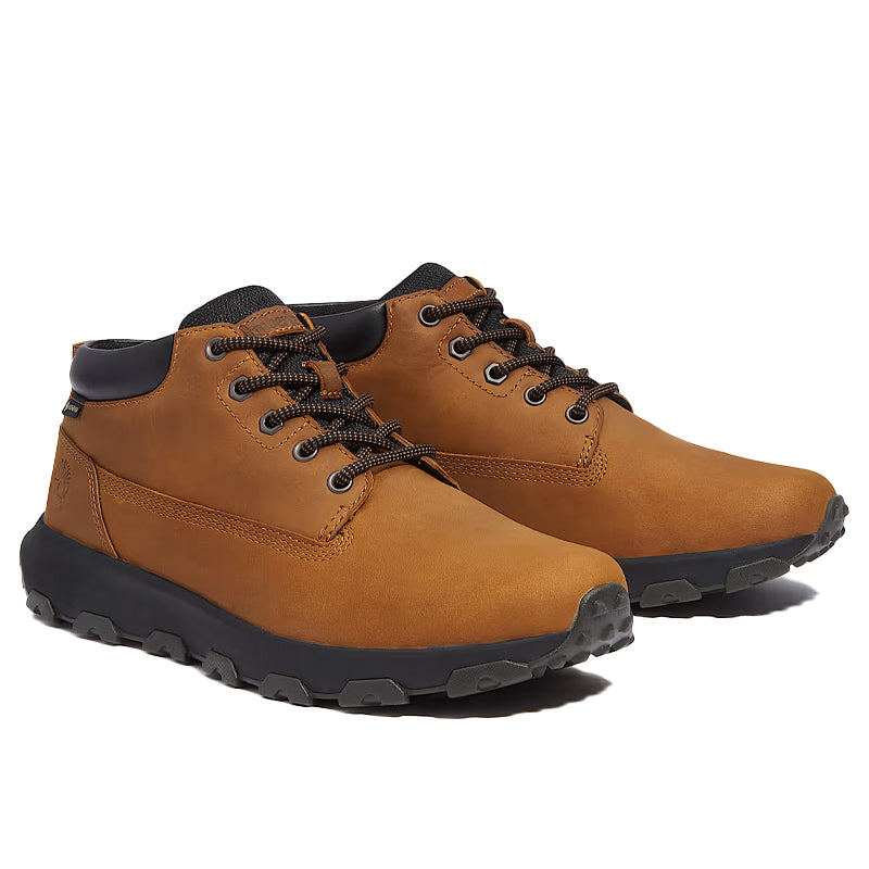 Scarpe uomo Winsor Park Mid GTX