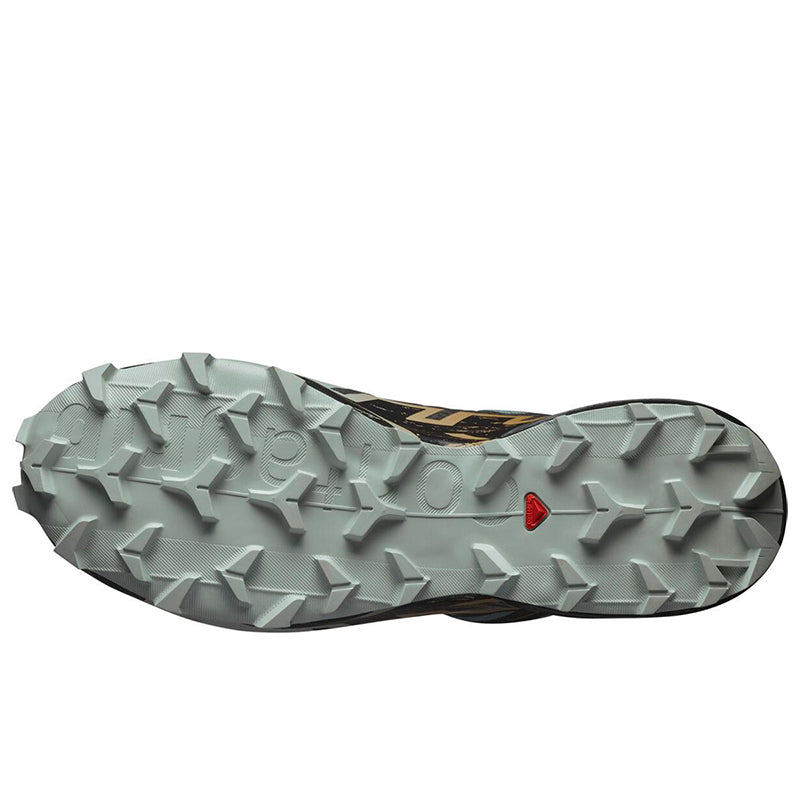 Scarpe uomo Speedcross 6 GTX