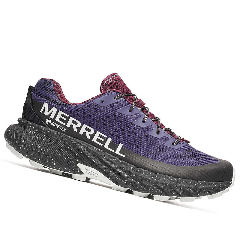 Scarpe uomo Agility Peak 5 GTX