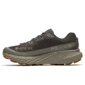 Scarpe uomo Agility Peak 5 GTX