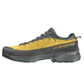 Scarpe uomo TX4 Evo GTX