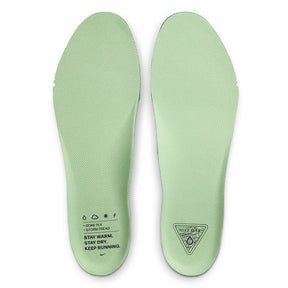 Scarpe uomo Pegasus 41 GTX