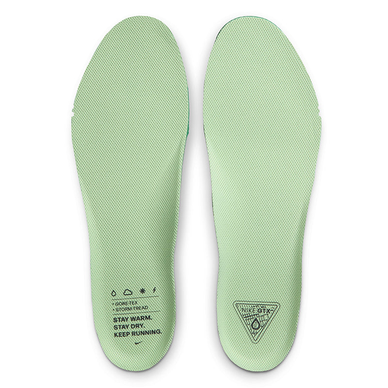 Scarpe uomo Pegasus 41 GTX