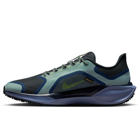 Scarpe uomo Pegasus 41 GTX