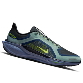 Scarpe uomo Pegasus 41 GTX