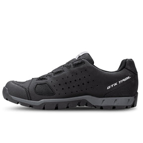Scarpe uomo Trail Evo GTX