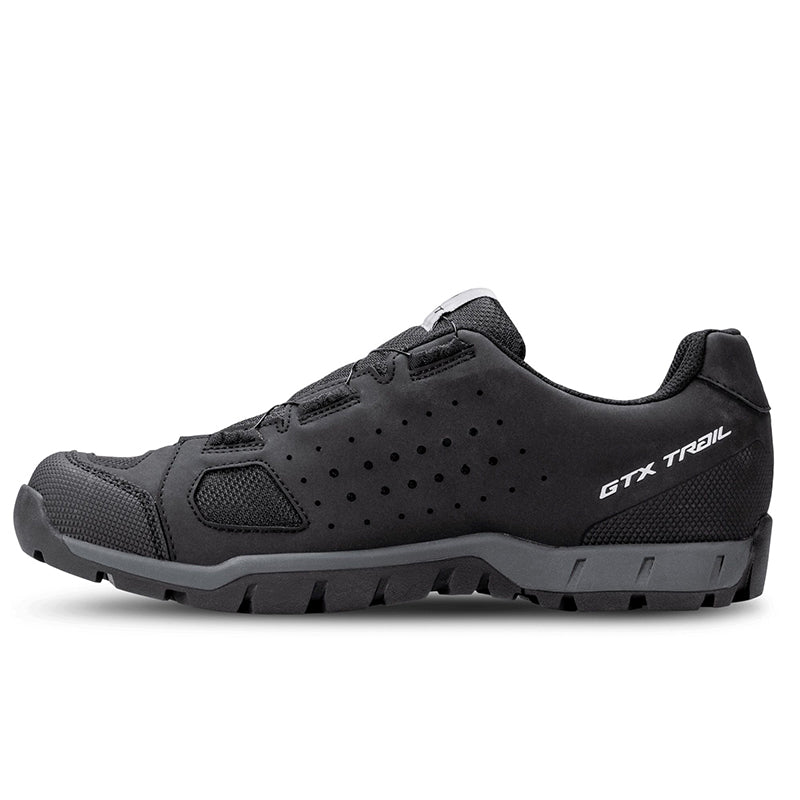 Scarpe uomo Trail Evo GTX
