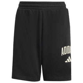 Pantaloncino uomo Seasonals Collegiate Typography