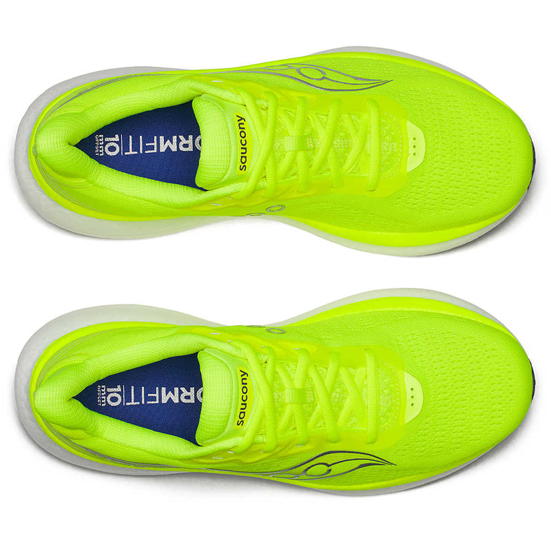 Scarpe uomo Triumph 23