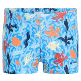 Boxer bambino little Samon
