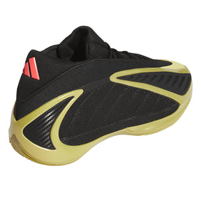 Scarpe uomo Anthony Edwards 2