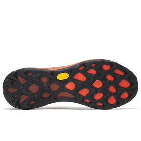 Scarpe uomo Agility Peak 6 GTX