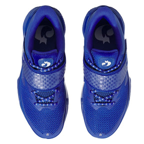 Scarpe uomo Curry Fox 1 Lexington