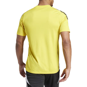 Maglia uomo Tiro 24