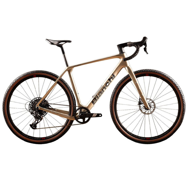 Bici Arcadex COMP