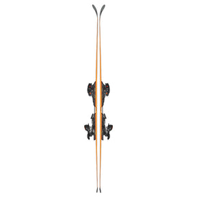 Sci Firebird 70 RS TI + Xcell12 Demo