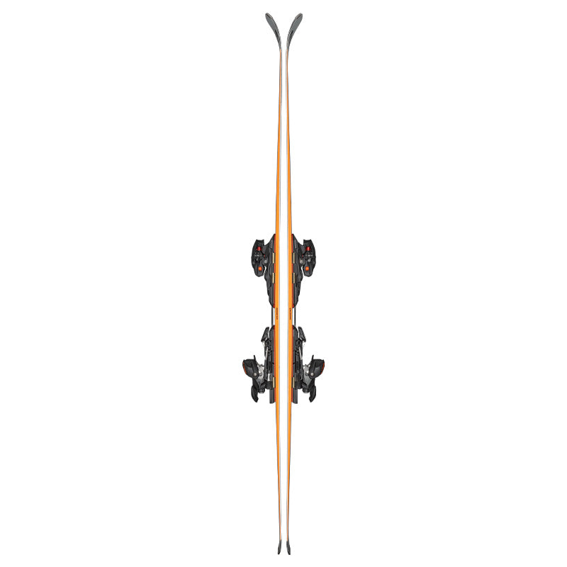 Sci Firebird 70 RS TI + Xcell12 Demo