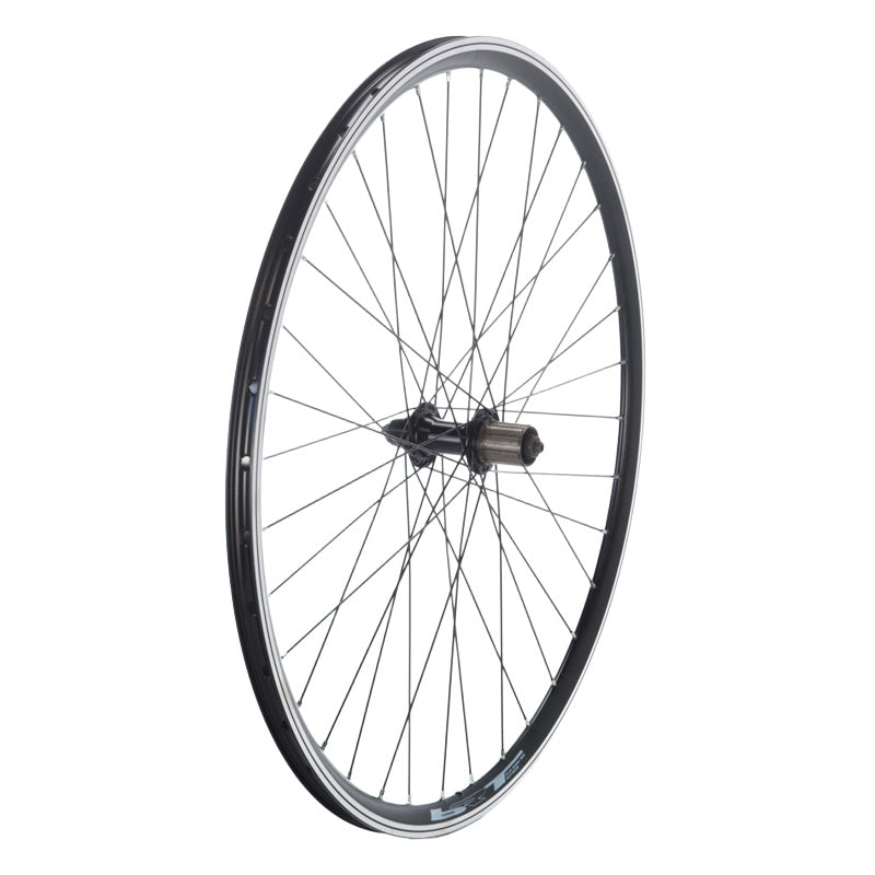Ruota MTB 29" Posteriore 8/9/10v