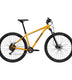 Mtb Trail 5