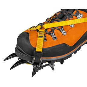 Gabbiette Transformer Bail