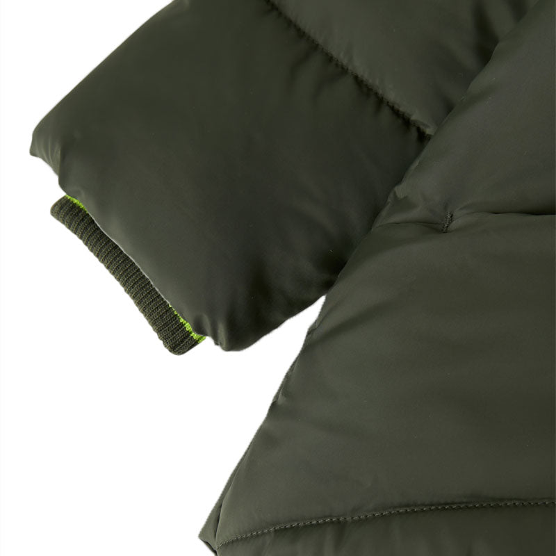 Piumino bambino Puffer Dino