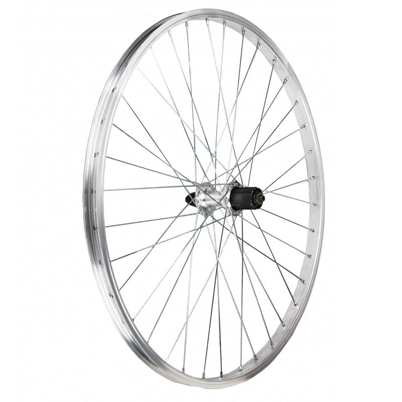 Ruota MTB 26" Posteriore 7/8v