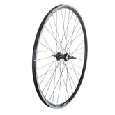 Ruota CTB 28" Posteriore 7v