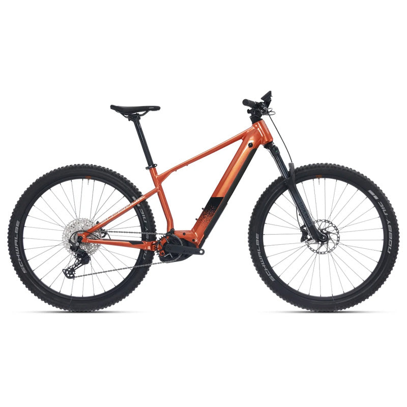 E-Bike EXP 9019 B