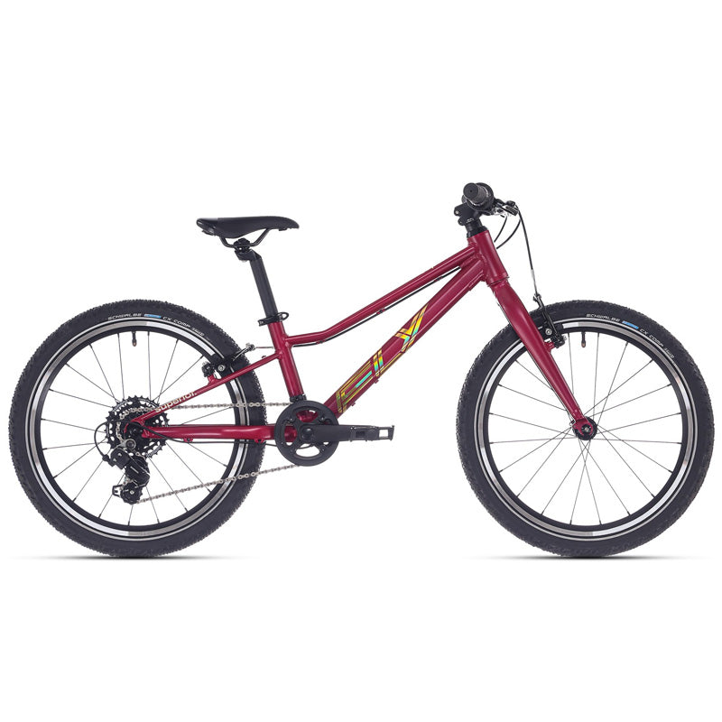 Mtb bambino F.L.Y. 20 VB