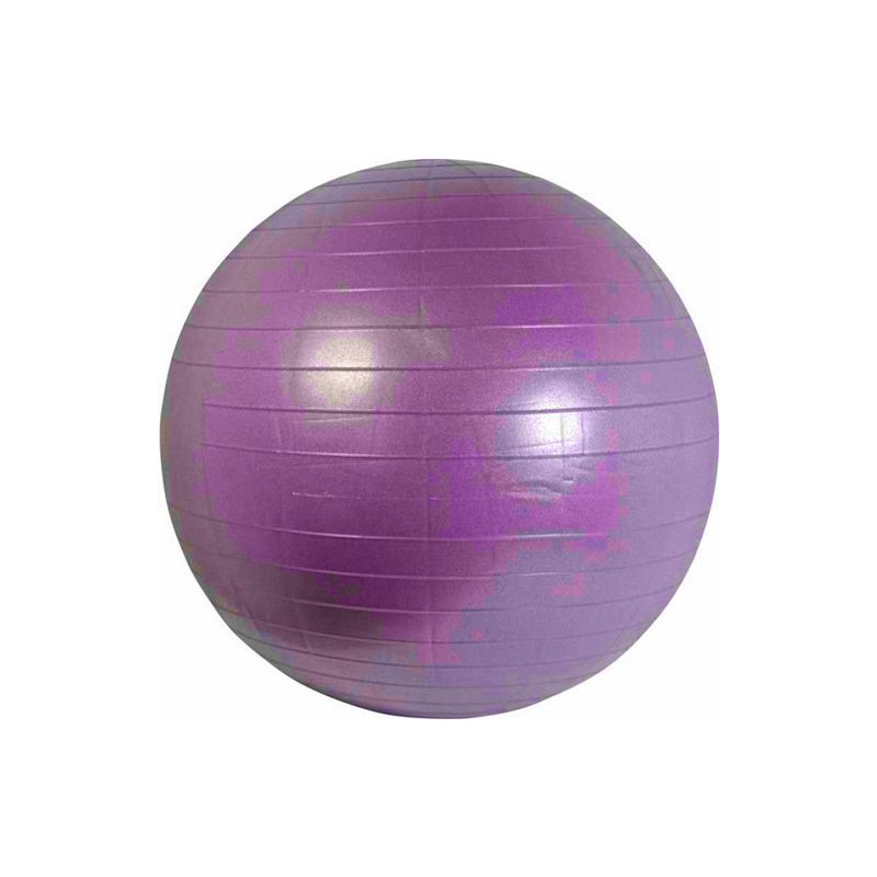 Gym Ball 55cm